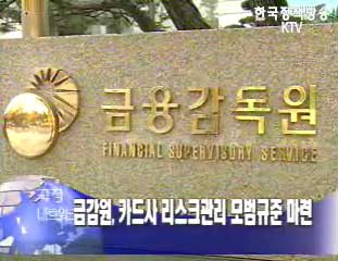 금감원, 카드사 리스크관리 모범규준 마련