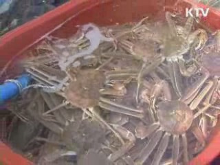 일본 EEZ내 허용 어획량 지난해 수준 유지