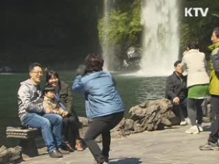 제주 항공편 대폭 확충