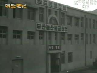 해방 후 첫 한일간 여객선 취항, 부산항(‘60) 이미지