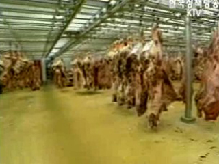 미 쇠고기 3차 수입분에서도 뼛조각