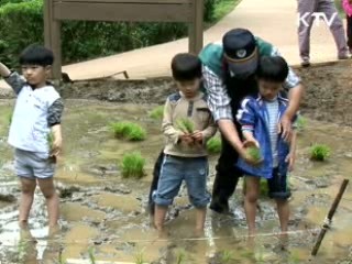 플러스 덤