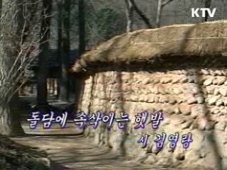 영상 에세이