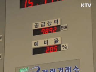 "전기요금 서민·중소기업 인상폭 최소화"