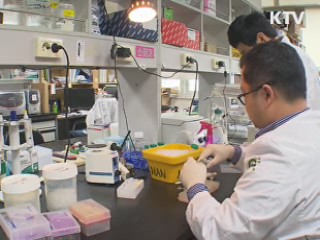 치매·척수손상 치료 가능성 높인 줄기세포 개발