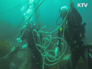 독도 주변 쓰레기 30톤…'수중 대청소'