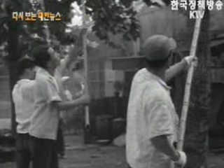 흰불나방 구충 작업(`61) 이미지