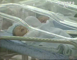 저소득 임산부 영양관리 나선다