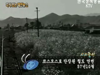 코스모스로 단장된 철도 연변('57) 이미지