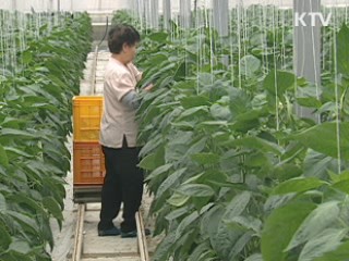 "농식품 수출 76억달러 목표 달성"