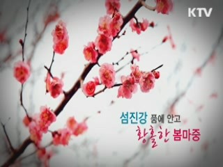 섬진강 품에 안고 황홀한 봄마중