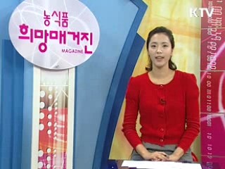 선진지 해외 농업 견학 2부