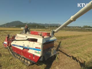 쌀 실수확량 422만4천톤 '수급 이상무' 