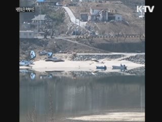 섬진강 바다화 심각···감성돔에 갈매기까지