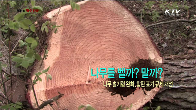 돈이 되는 '나무'사용법!