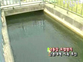 매일경제신문 낙동강 발암물질 보도 관련 환경부 입장