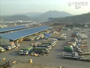 국무회의 - 해결책은 ‘일자리’