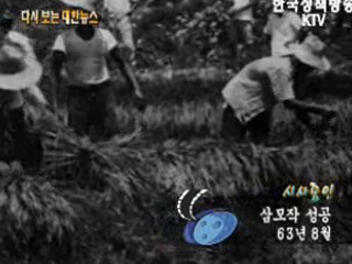 삼모작 성공('63) 이미지