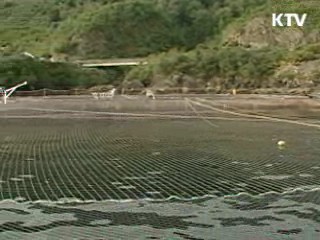 FTA 시대, 수산물 수출 집중 육성