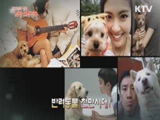 KTV 100년의 행복, 희망 대한민국 + (33회)