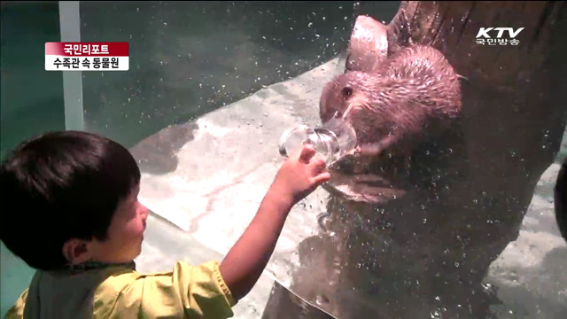 수족관 속 동물원 등장…육해공 동물 다 본다 [국민리포트]