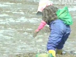 부안 줄포만 갯벌 습지보호지역 지정