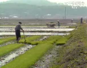 농어촌 장애인 가구 지원