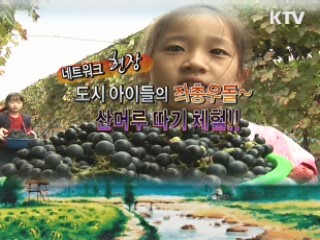 도시 아이들의 좌충우돌 산머루 따기 대회 [네트워크 현장]