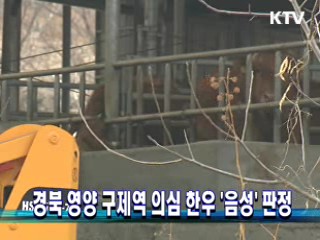 경북 영양 구제역 의심 한우 '음성' 판정