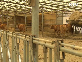 내년 FTA 지원 1조8천억원···역대 최대