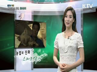 KTV 기획 대한민국의 희망, 창조경제 (14회)