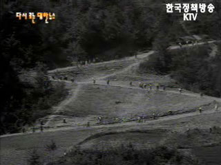 농로확장(`70) 이미지
