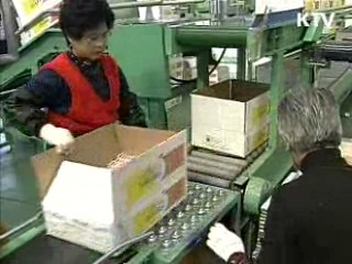 유통구조 개선, 상시적 물가안정