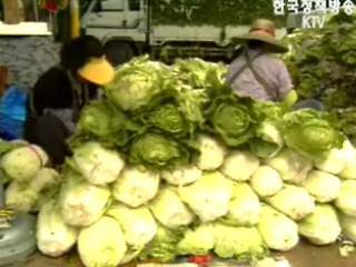 기상청, `김장 적기에 김치 담그세요`