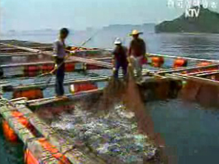 양식수산물에 재해보험 도입 추진