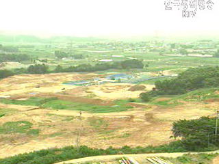 토지거래허가자 이용실태 집중 조사