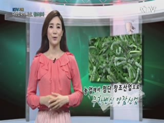 KTV 기획 대한민국의 희망, 창조경제 + (26회)