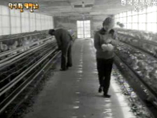 잘 사는 농촌을(`71) 이미지