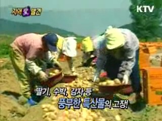 역사와 문화의 고장 '경북 고령'