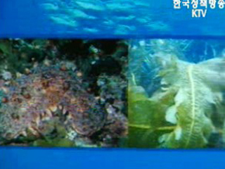 해양수산부, 해양생물자원 분양