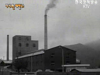 건설의 메아리(`66) 이미지