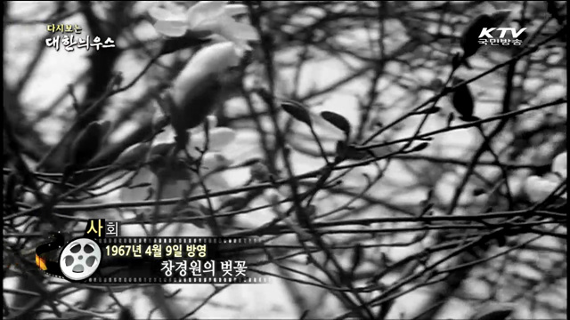 다시보는 대한늬우스 (67.04.09) 이미지