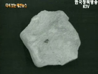 공룡 화석 발굴, 경북 영일군(`63) 이미지