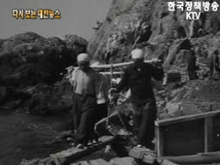 새로운 고향('62) 이미지