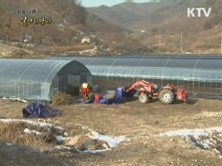 시골에 뿌리내린 태국의 연꽃씨 - 종호·김연꽃 부부(귀농인)