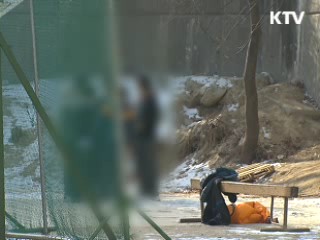 정책 오늘 (313회)