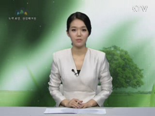 산림청, '산림의 가치제고 및 건강자산으로의 활용 방안' 보고