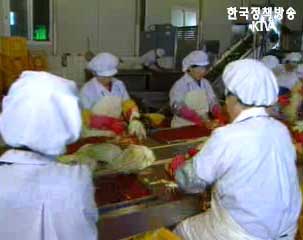 식품안전처 7월 출범 추진