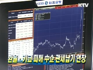 환율·키코 피해 중소기업 관세납기 연장