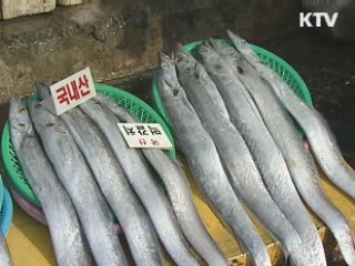 설 앞두고 갈치 3천3백t 조기 방출